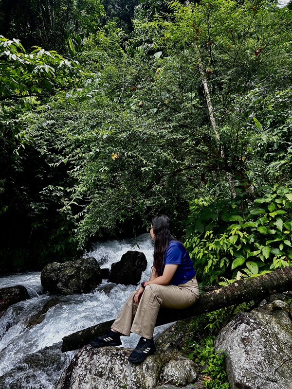 Aalo Waterfall